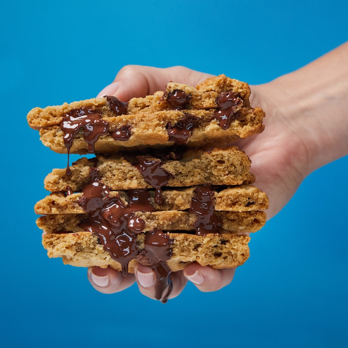 Chocolate Chip Cookie, 4-Packs